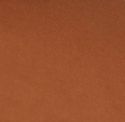 Cinnamon